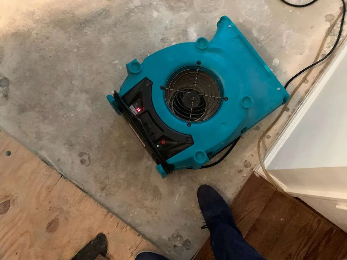 Air mover drying subfloor during Leak Detection & Repair in Ridley